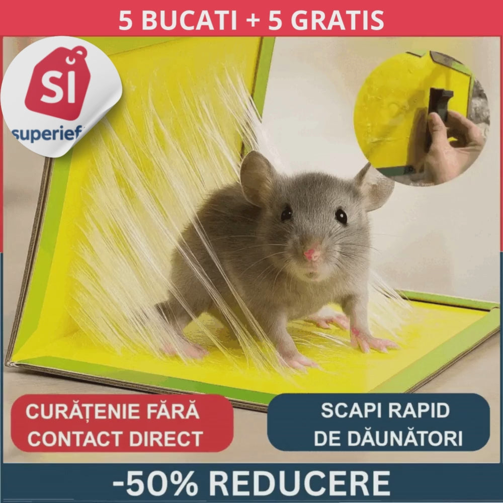 Capcana pentru soareci cu lipici